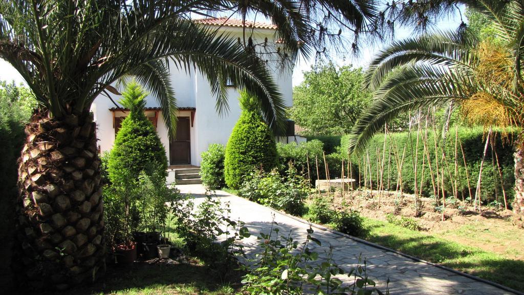 El Villa Pelion Khórto Bagian luar foto